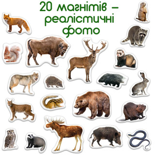 Дитячий набір магнітів Лісові мешканці фото ML4031-29 EN