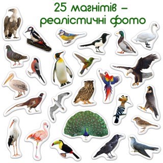 Дитячий набір магнітів Птахи фото Magdum ML4031-30 EN