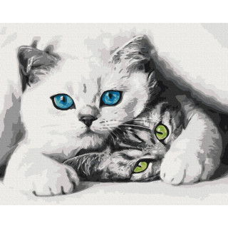 Картина по номерам "Муркотики" BS51695, 40x50 см