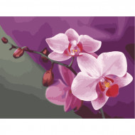 Картина по номерам. Букеты "Розовые орхидеи" KHO1081, 40х50 см