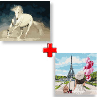 Набор картин по номерам 2 в 1 "Белая грация" 40х50 KHO4324 и "Гуляя по улицам Парижа" 40х40 KHO4756