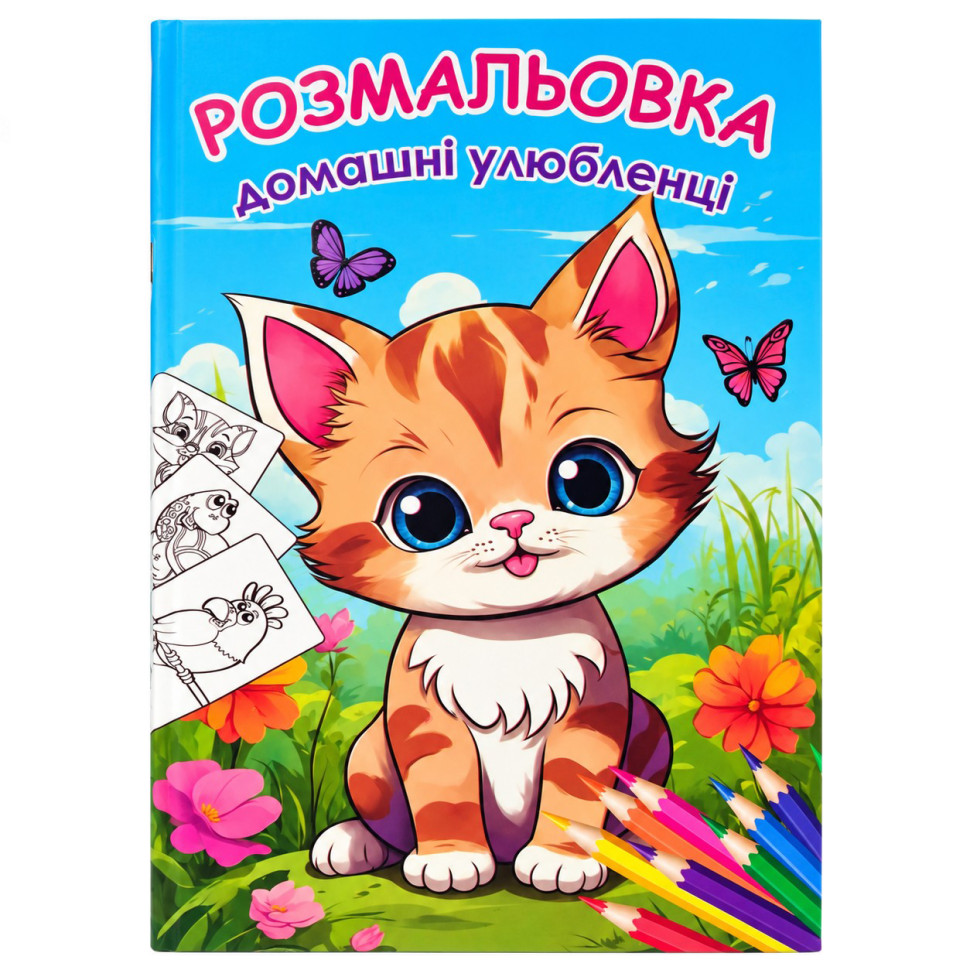 Детская большая раскраска Домашние питомцы 12В-010-4 формат А4, 72 страницы опт, дропшиппинг