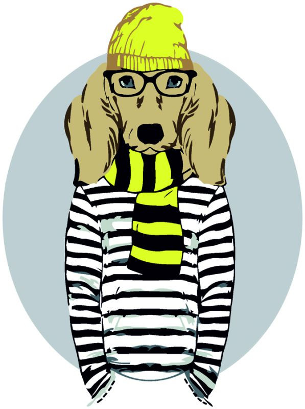 Картина по номерам. Rosa „Stylish Dog“ N00013265, 35х45 см опт, дропшиппинг