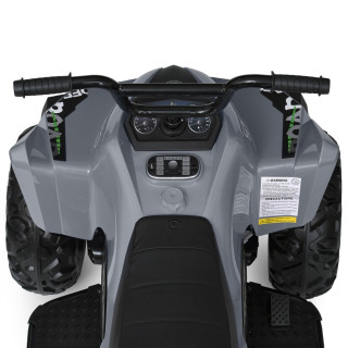 Детский электромобиль Квадроцикл M 5102EL-11(24V) до 50 кг