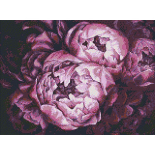 Алмазная вышивка. "Королевские пионы"  AM4007, 30х40 см                                           