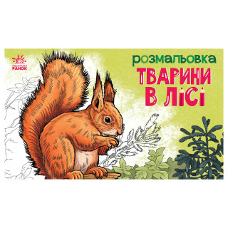 Дитяча розмальовка 