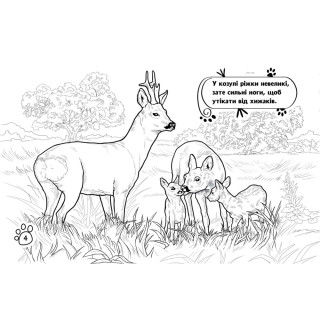 Дитяча розмальовка 