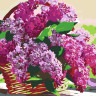 Картина по номерам. Rosa „Сирень в корзине“ N00013291, 35х45 см опт, дропшиппинг