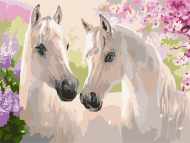 Картина по номерам "Пара лошадей" 11664-NN 30х40 см