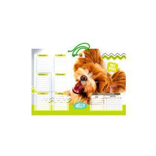 Ламінований розклад уроків РУ-Л-А4 формат А4