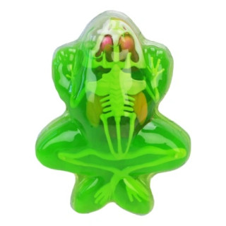 Детский лабораторный набор Лягушка 801B, скелет, внутренние органы