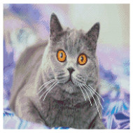 Алмазная мозаика "Заинтересованный серый кот" Strateg GA0004 50х50 см