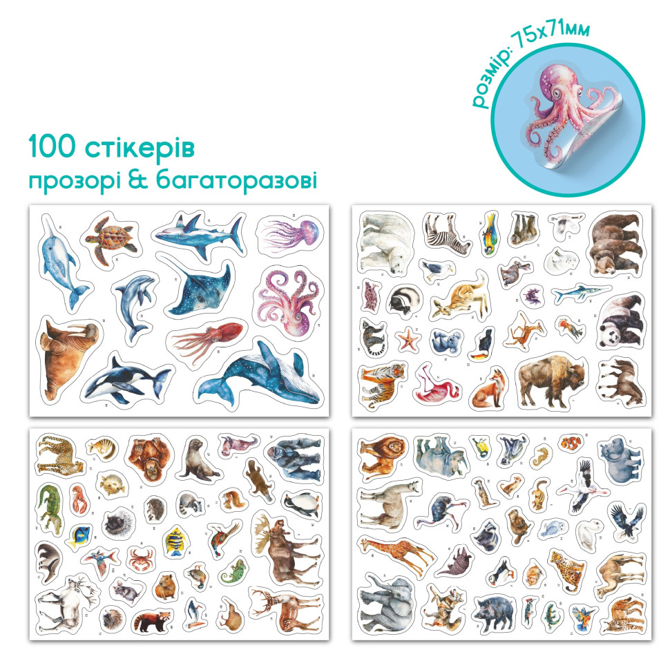 Учебный постер с наклейками