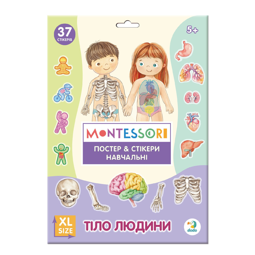 Учебный постер с наклейками