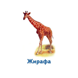 Настольная игра Парочки: Мир животных 1392003, 6 игр