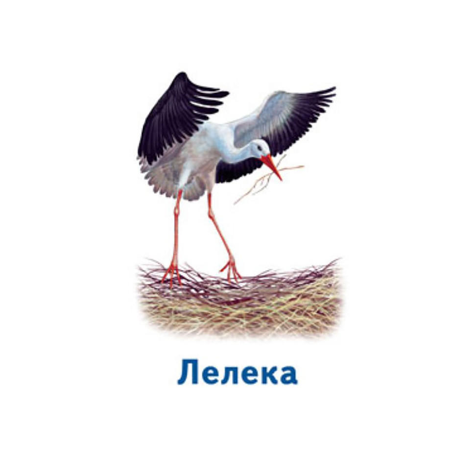 Настільна гра Парочки: Світ тварин 1392003, 6 ігор - гурт(опт), дропшиппінг 