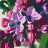 Картина по номерам. Rosa „Сирень“ N00013176, 35х45 см опт, дропшиппинг