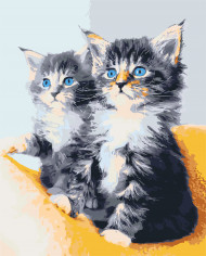 Картина по номерам. Art Craft "Голубоглазые котята" 40*50 см 11617-AC